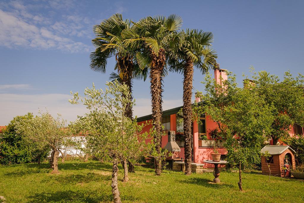 Agriturismo Villa Serena Vigonovo  Exterior photo