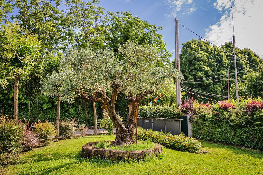 Agriturismo Villa Serena Vigonovo  Exterior photo