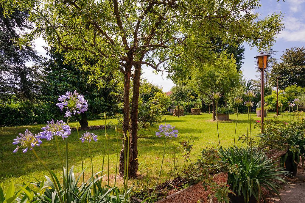 Agriturismo Villa Serena Vigonovo  Exterior photo